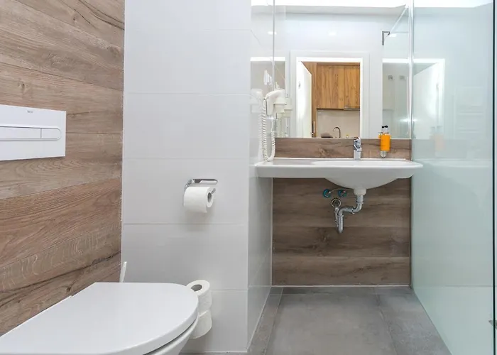 Daire Czarna Gora 312 Sienna (Klodzko)