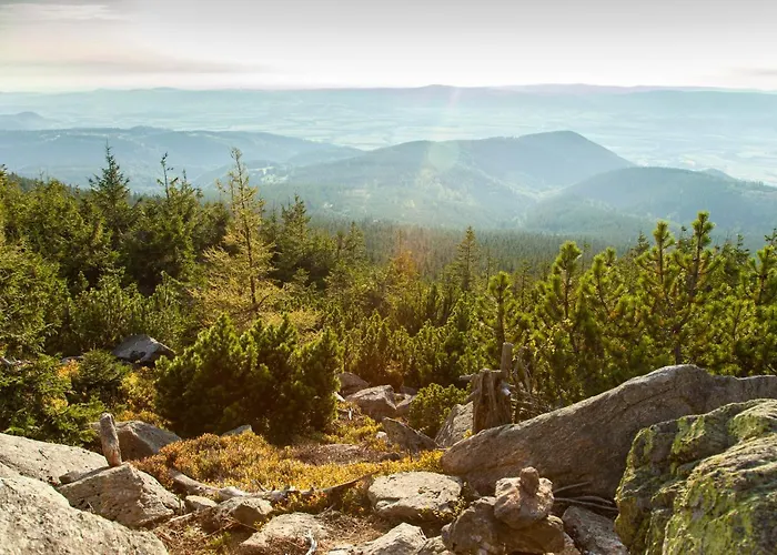 Czarna Gora 312 Daire